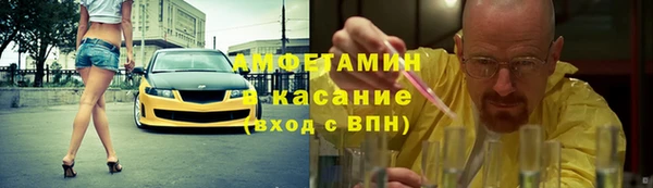 PSILOCYBIN Покачи