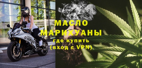индика Семёнов