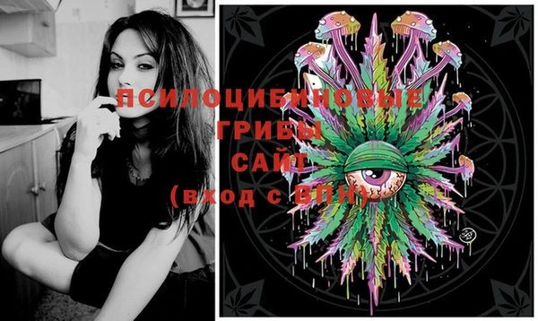 PSILOCYBIN Покачи