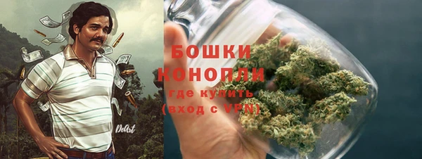 PSILOCYBIN Покачи