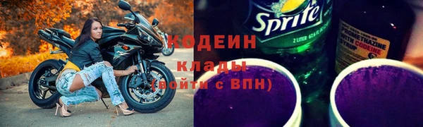 PSILOCYBIN Покачи