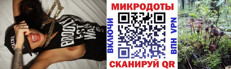Псилоцибиновые грибы GOLDEN TEACHER  где найти   Томск 