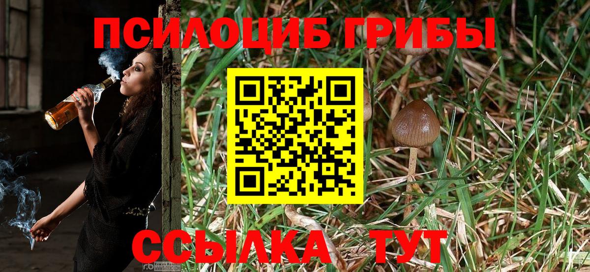 Галлюциногенные грибы Magic Shrooms Томск