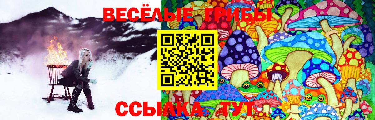 Псилоцибиновые грибы Magic Shrooms  Псилоцибиновые грибы Magic Shrooms  Томск 