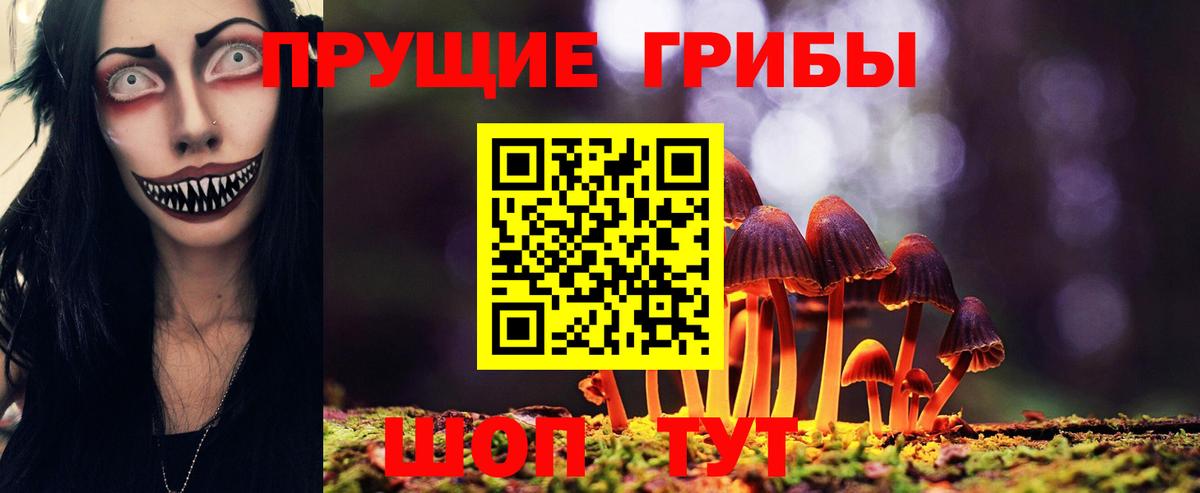 Томск  купить наркотик  Вход с VPN  Галлюциногенные грибы MAGIC MUSHROOMS 