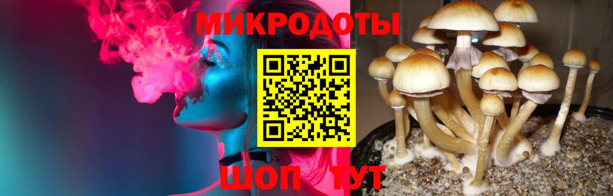 Псилоцибиновые грибы Magic Shrooms Томск